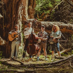 Paul Armer & The Dawn Chorus