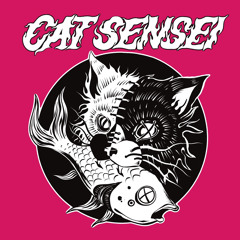 Cat Sensei