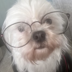 ✩‧¸„.-•~¹°＊+_𝓻➃𝔃０𝓻_+֍°¹~•-.„¸✩