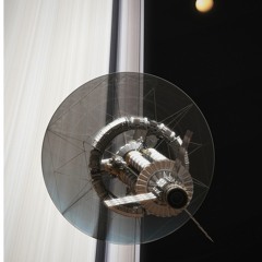 Sentinel Est.1