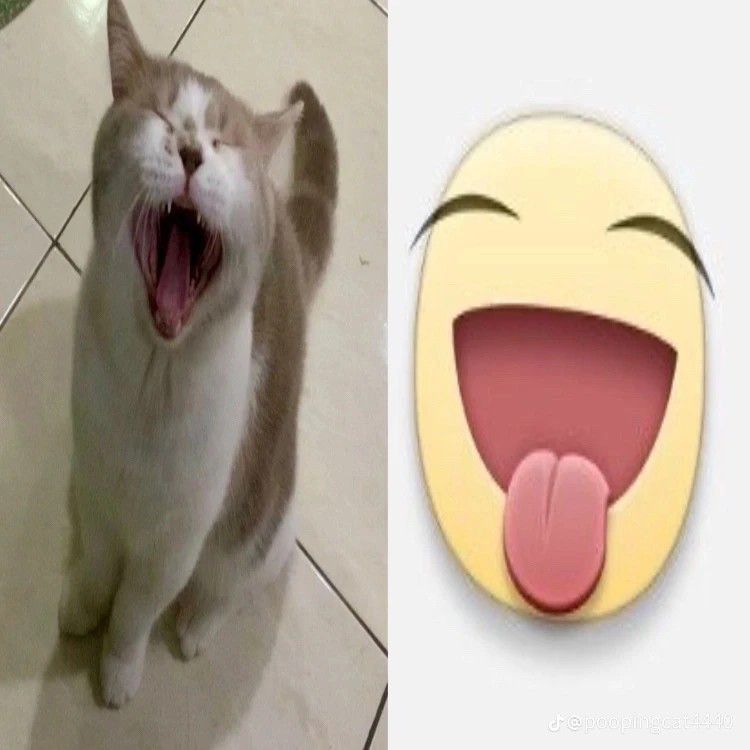 емеля