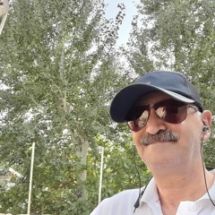 پرویز دهلانی