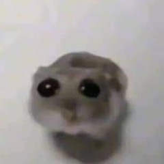 Dummy_902