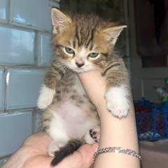 idimkaaa