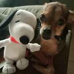 saul