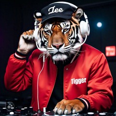 Dj Lee TiGGeR