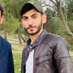 Hamza Atef Almajali