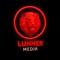 Lunner Media