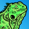 Iguana