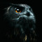Hind ALHarbi