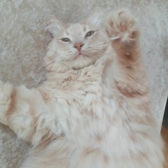 Silly me!