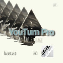 Youturn Pro