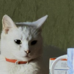 httpeace