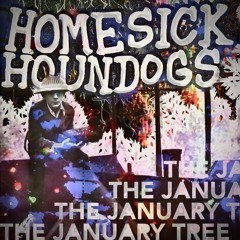 homesickhounddogs