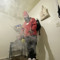Ac.2crazy