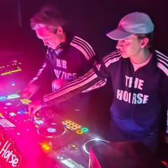 Mr Politics & The Horse