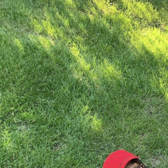 Kimi1300 archive †