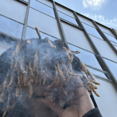 TY420