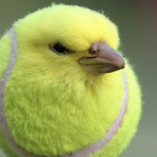 Insert picture here...