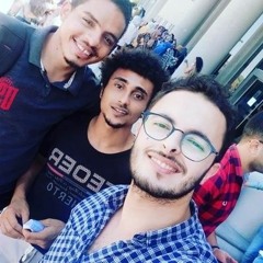 Ebied Ali