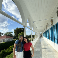 Nessa