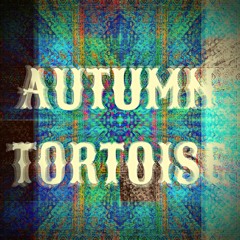 Autumn Tortoise