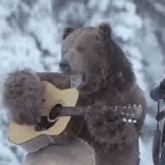 unknownbiscuit