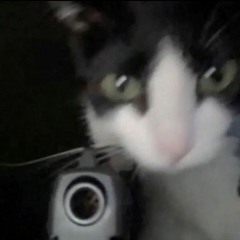 metalgearbandit