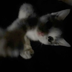 🤷‍♀️🤷‍♀️