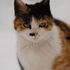 희희