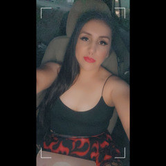 Vanesst2588