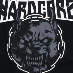 AnarkObs29
