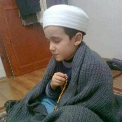 محمد حبيب