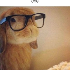 cheesemob