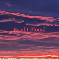 Bright Bloom