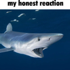 Ktastrophe