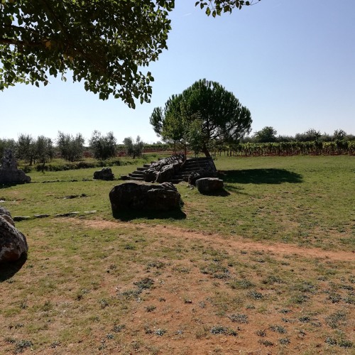 Nifra b2b Fisherman live Airwalk Indoor Trance Festival 2019.mp3