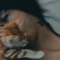 BENJI NO CANON