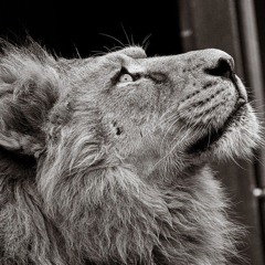 Glory to God