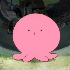 nieako