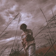 fading2soul
