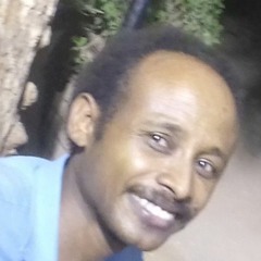 Naji Mohamed Alfatih