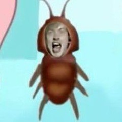 Roach Ri