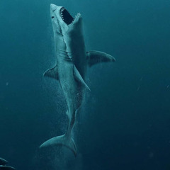 Sharkravin