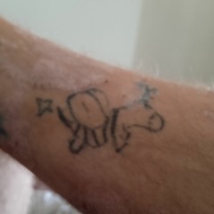 Mäster experten dominerar allt som mfinns