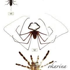 OKARINA