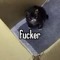 Eg