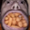 Lil Legume