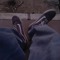 LayMobb