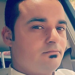 fathi elbastawisi